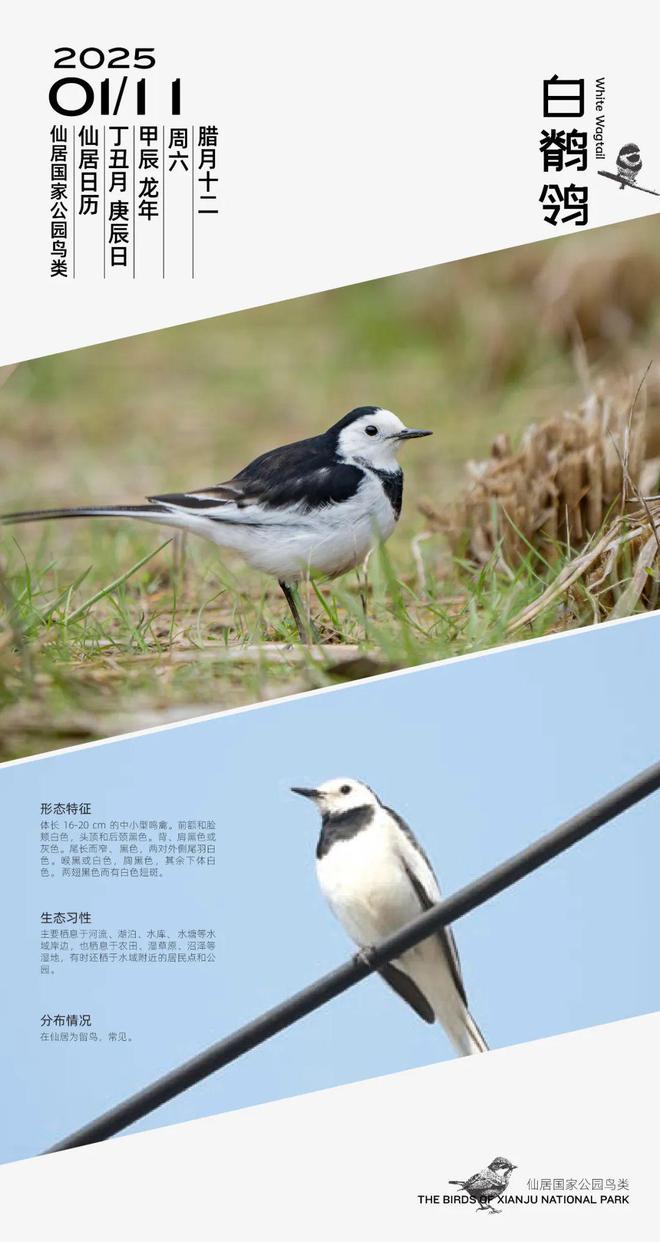 25年仙居县消费品以旧换新开始了龙8国际龙8网站@仙居人 20(图3)